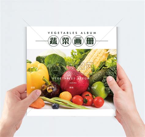 简约大气水果蔬菜画册封面模板素材-正版图片400981975-摄图网