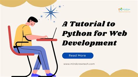 Python Tutorial for Web Development 的图像结果