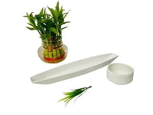 Buy ALTAICA Porcelain Platter with Round Dip Bowl Serving for Snacks ...