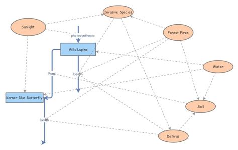 Rezultat imagine pentru Model Insight