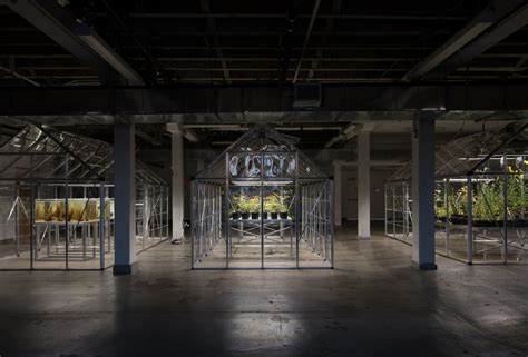 Michael Wang at Swiss Institute New York - Artmap.com