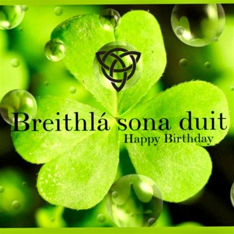 Pin by Dympna Reidy on Cousin birthday | Irish birthday, Irish birthday ...