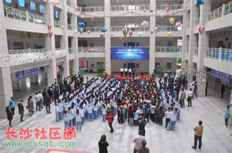 湖南省青少年科技创新活动服务平台