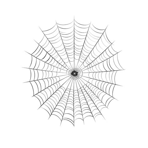 Illustration Of A Simple Spider Web, Spider, Web, Tattoo PNG ...