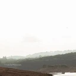 Best Top Rated Tourist attraction in Reservoir, Kerala, India | Yappe.in