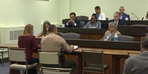 Illinois lawmakers, state police address loophole in FOID clear and ...