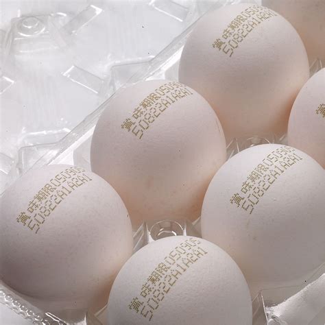 Coding On Food - KGK Jet India