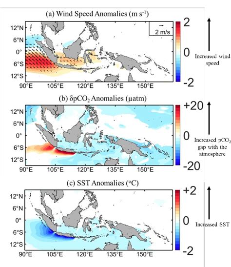 Image result for PCO2 Ocean