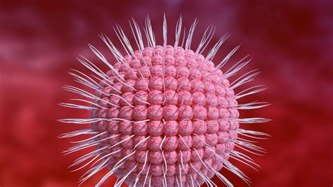 Image result for Virus Scanning Electron Microscope