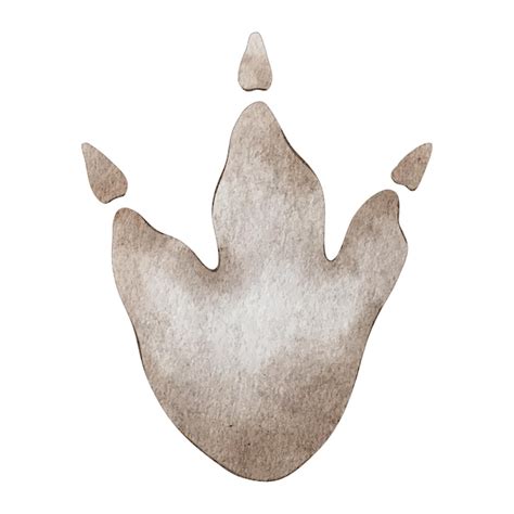 Dinosaurier-Fußabdruck Isolierte handgezeichnete Aquarell-Illustration ...