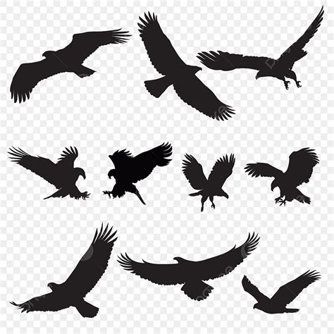 Bald Eagle Flying Silhouette PNG Free, Eagle Silhouette Flying Bird Silhouette, Bird, Silhouette ...