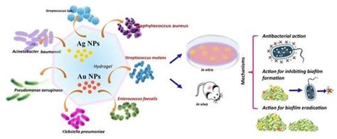 Advanced Hydrogels Combined with Silver and Gold Nanoparticles against ...