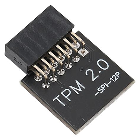 Amazon.in: Buy Goshyda TPM2.0 Encryption Security Module for GIGABYTE ...