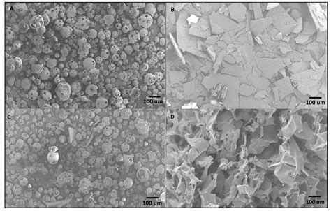 Capsaicin-Cyclodextrin Complex Enhances Mepivacaine Targeting and ...