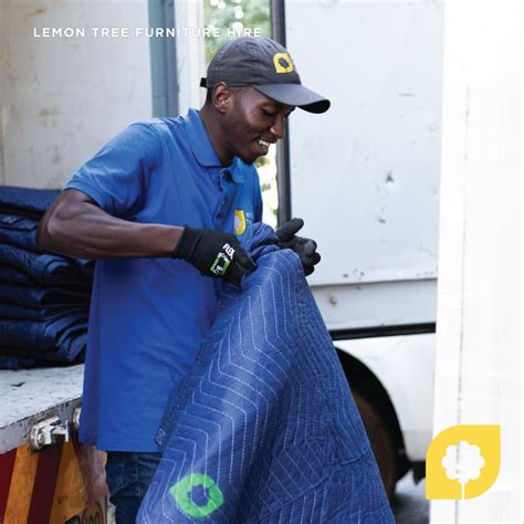 Image result for Lemon Tree for Office