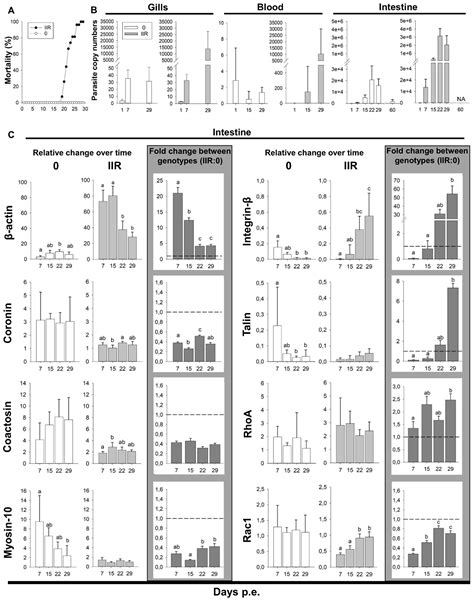 Myxozoan Adhesion and Virulence: Ceratonova shasta on the Move