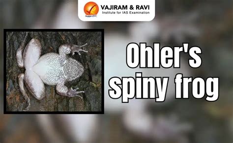 Ohler’s Spiny Frog, Discovery, Key Features, Latest News