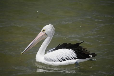 Images+Of+A+Christina+Piercing Photos, Download The BEST Free Images+Of ...