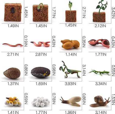 Buy WONWONTOYS Farm Animals Figurines Life Growth Cycle of Plants ...