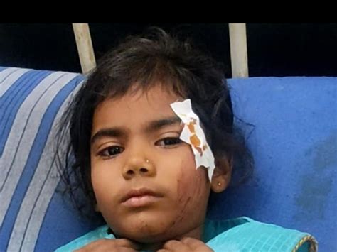 A young biker was killed in an accident near Patiya in Sankod village ...