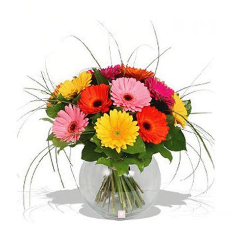 Buy Mixed Gerbera in Vase Online at Best Price | Od