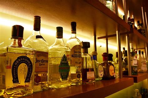 HOTEL AEROPUERTO LOS CABOS (San Jose del Cabo) - Hotel Reviews, Photos ...