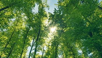 Carbon Management| decarbonization| carbon verification|TUV SUD | TÜV ...