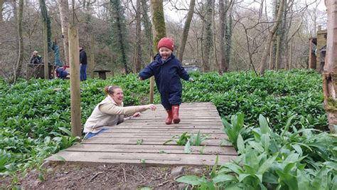 Bright Seedlings Wednesdays, Deepdale Nature Reserve and other ...