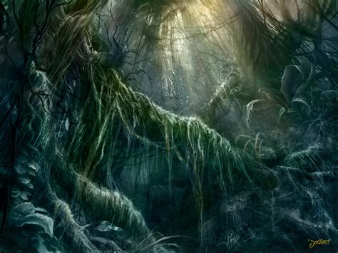 Image result for Python Dans Foret