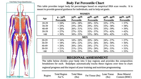 Image result for Dexa Scan Interpretation