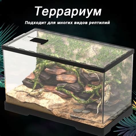 Террариум для рептилий , улиток , паука - купить с доставкой по ...