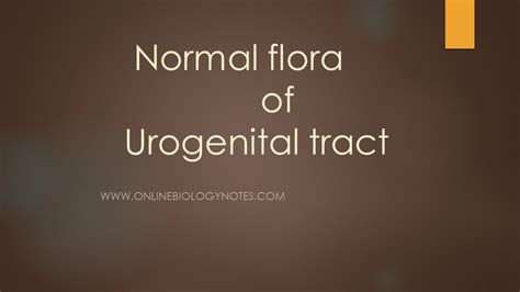 Mixed Urogenital Flora In Urine Means at Roxanne Bell blog