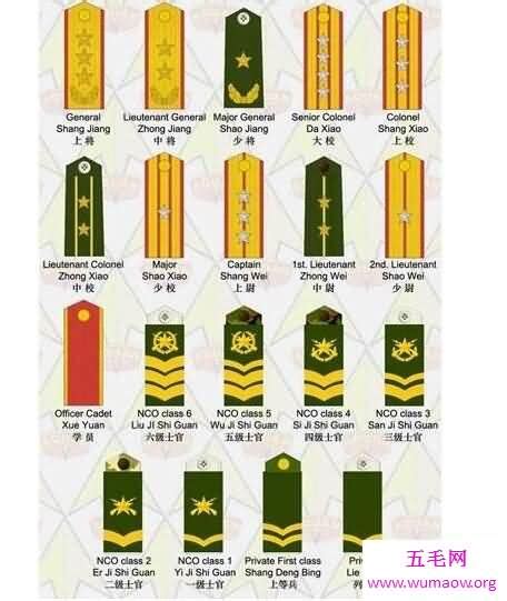 新旧日本军衔跟中国军衔对比，都是上将最厉害-五毛网