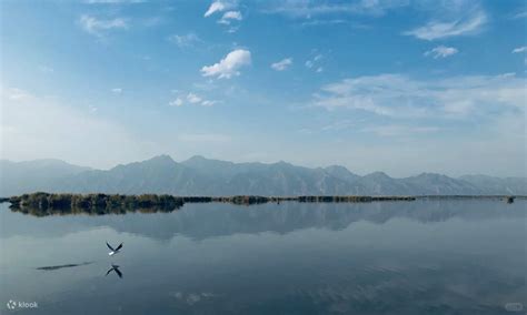 6-Day Inner Mongolia Hohhot Desert Adventure (Astronaut Suit Photoshoot ...