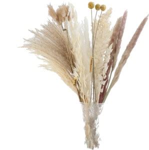 BNF 30x Dried Pampas Grass Bunch Bouquet Flowers Arrangement Reed ...