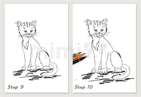 Image result for Cat Drawing Tutorial