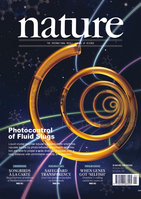Nature期刊封面 的图像结果