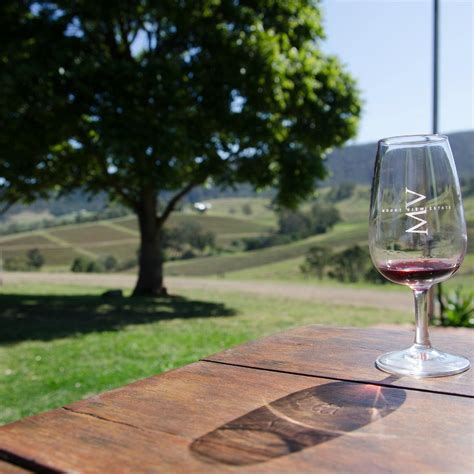 MOUNT VIEW ESTATE WINERY (2026) All You Need to Know BEFORE You Go ...