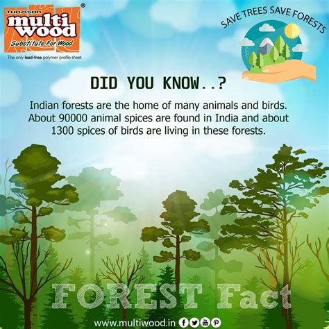 Multiwood | Save trees save forests