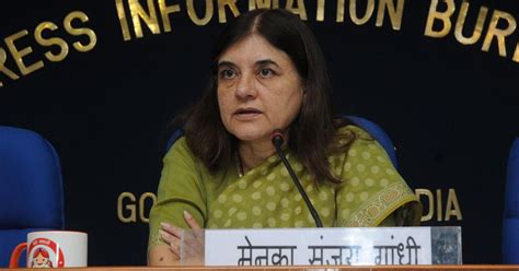 Maneka Gandhi says male survivors of rape, child sexual abuse need ...