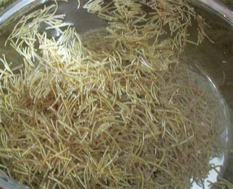 How to Make Vermicelli Pulao: Easy Recipe To Make Vermicelli Pulao in ...