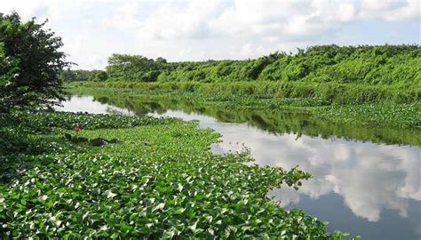 Sri Lanka Tourist Places You Must Explore In 2024