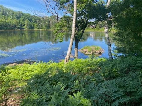 Starvation Lake Rd. to Pickerel Lake & picnic after, ORV Parking east ...