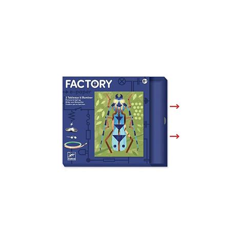 Buy DJECO Imágenes para iluminar Images to Illuminate Insectarium ...