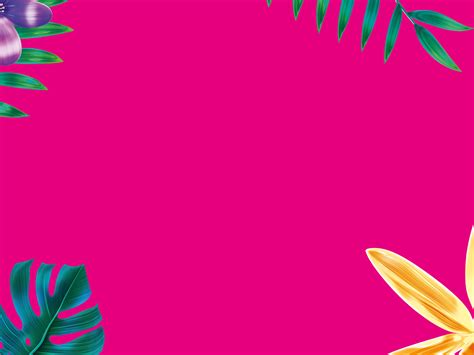 Image result for Surf Washing Powder