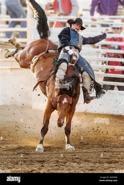 Man Rodeo Muscle Core 的图像结果