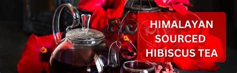 Vaastavik Himalayan Sourced Ayurvedic Hibiscus Flower Herbal Tea Food ...