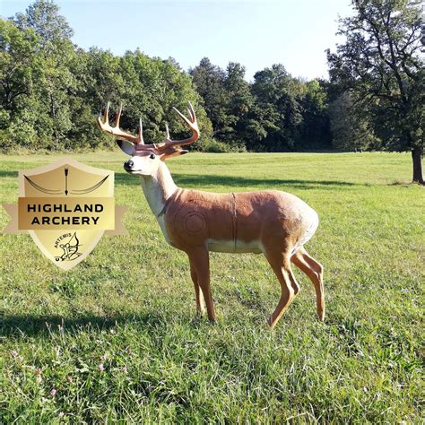 Runde 5 des 3D Cup of Central Europe, Nöstach 49, 2571 Altenmarkt an ...