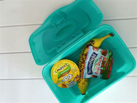 DIY Wipe Containers 的图像结果