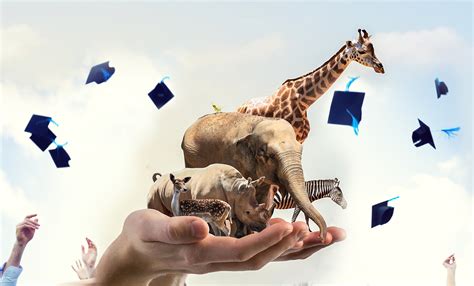 Indians Can Now Get a Diploma In Animal Law. Time To Do the Animal ...